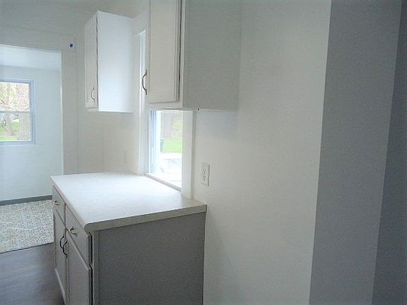 5th image of 1213 W Ionia St