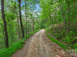 99999 Little Pisgah Rd, Gerton, NC 28735