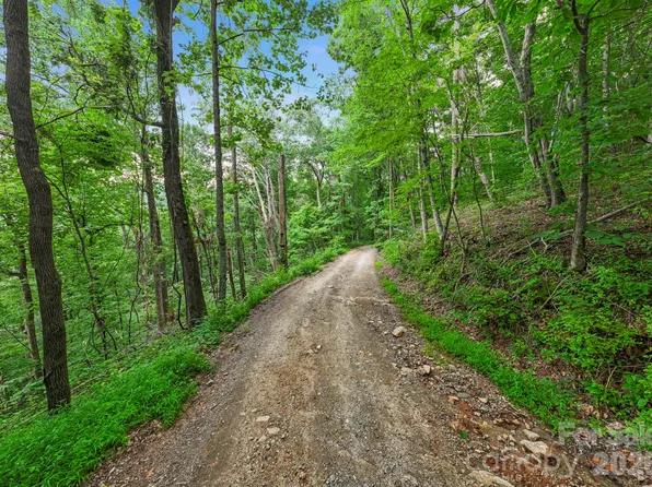 99999 Little Pisgah Rd, Gerton, NC 28735