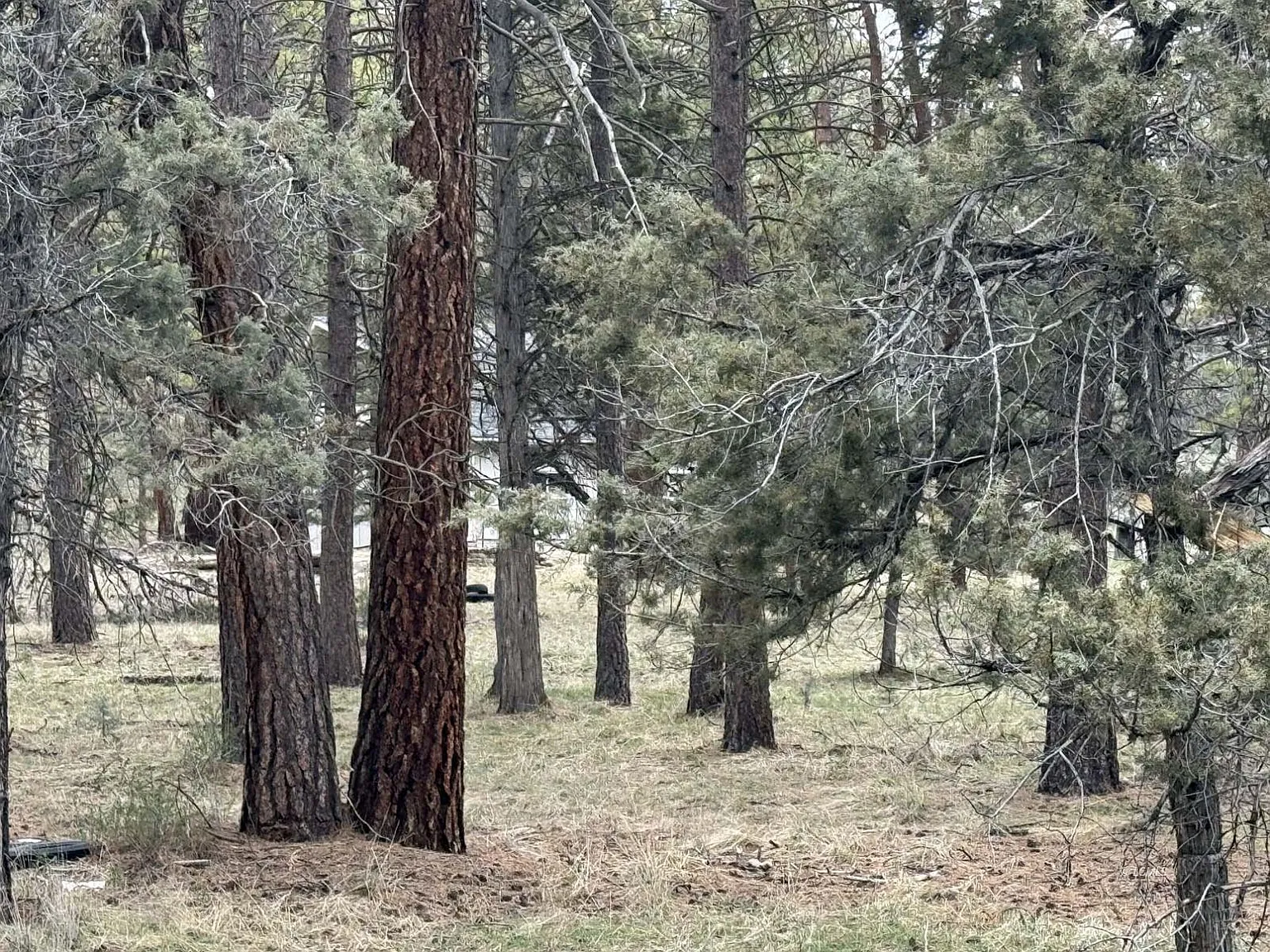 Spoonbill Dr photo 1