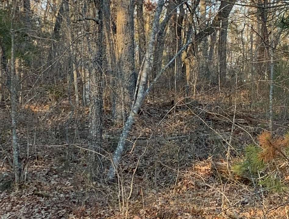 2nd image of 108 Old Salem Rd
