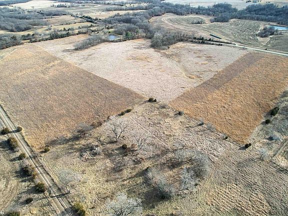 3rd image of 42nd St