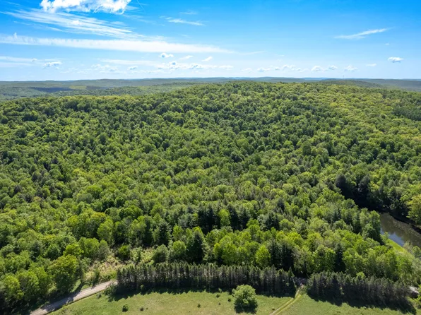154 Walker Rd, Nineveh, NY 13813