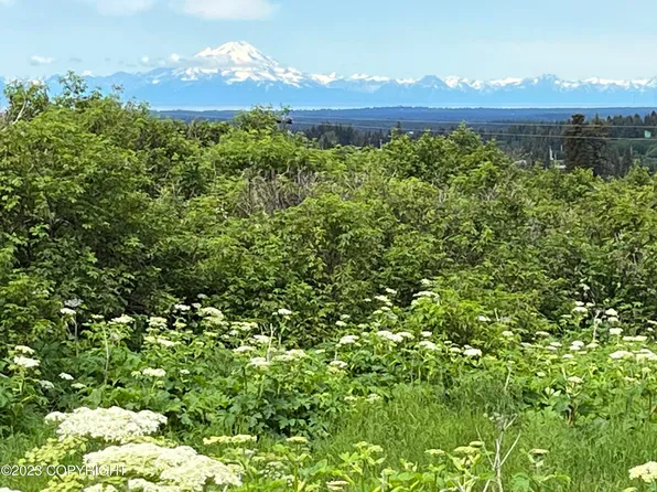 LOT 11 Bluff Rd, Homer, AK 99603