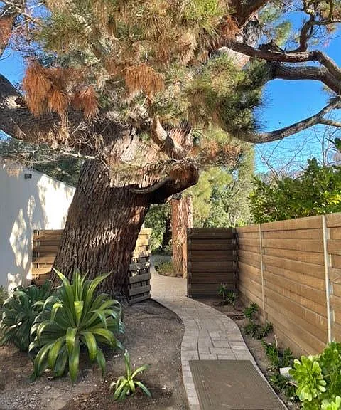 Chemin from the cottage to the private entrance