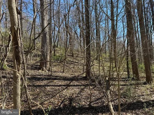 PARCEL 2 Sumantown Rd, Middletown, MD 21769