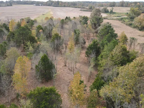 Middlefork Rd, Luray, TN 38352