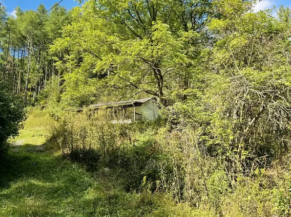 9575 Mud Fork Rd, Bluefield, VA 24605