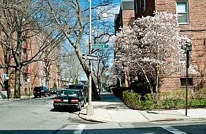 2nd image of 2552 E 7th St APT 4H