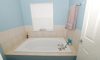 Master Bathroom Tub