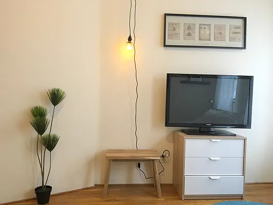 Rented by Big Apple Living | media 7