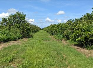 Crewsville Rd, Zolfo Springs, FL 33890