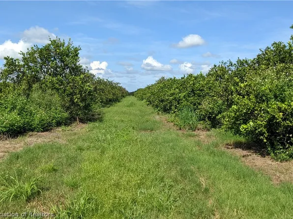 Crewsville Rd, Zolfo Springs, FL 33890
