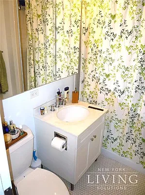 Rented by NY Living Solutions | media 31