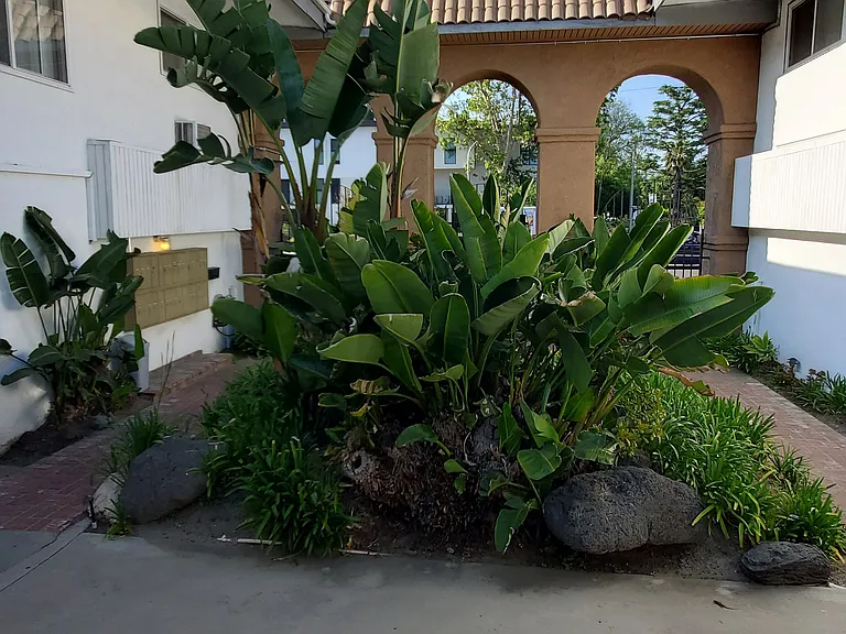 11124 Camarillo St #11 — Photo 8
