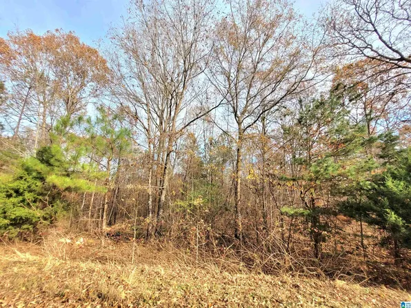 0 Rolling Hills Ln Lot 1, Munford, AL 36268