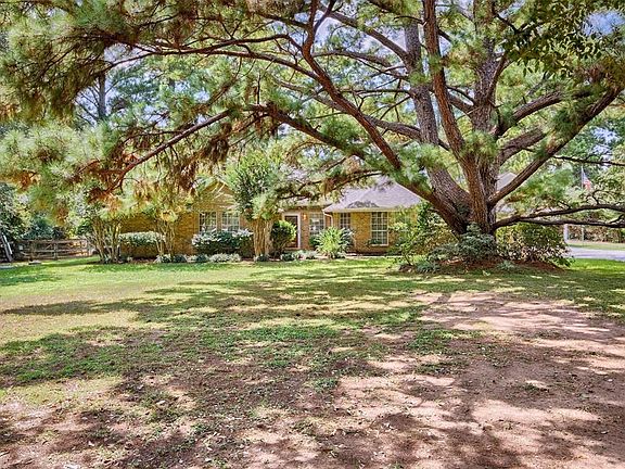 Spacious front yard with incredible trees including an amazing Loblolly Pine.