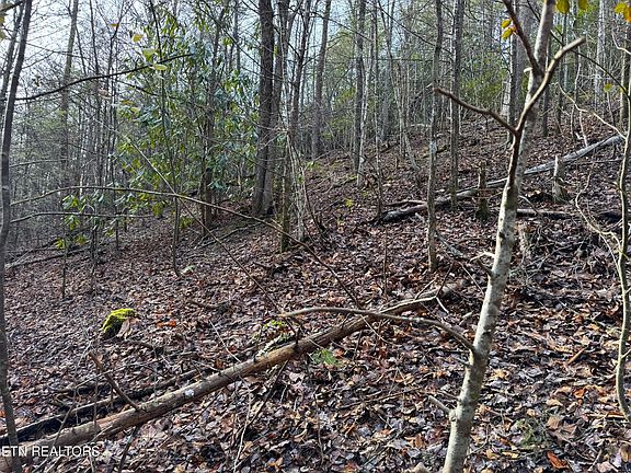 4th image of 0 Black Gum Gap Rd Lot 10