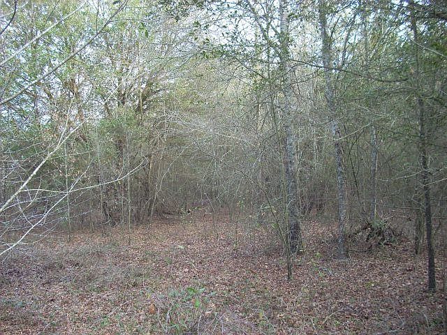 2nd image of 6375 Peach Orchard Rd