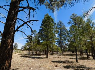 2182 Galo Dr, Happy Jack, AZ 86024