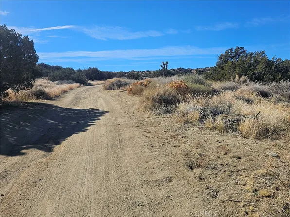 0 Vac 96 Ste Drt Vic Ave #X15-32, Littlerock, CA 93543