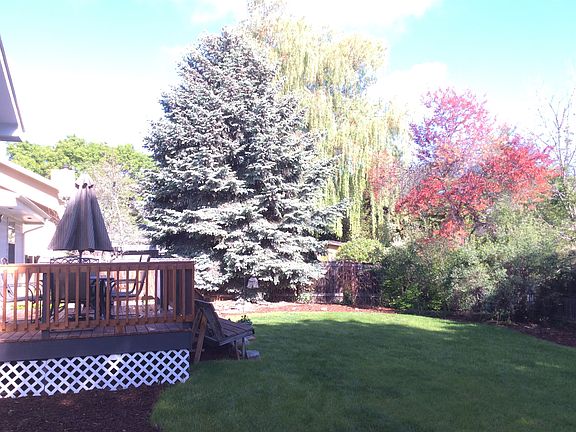 Mature Landscaping!