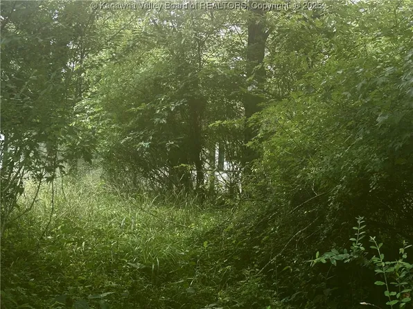 0 Wells Lock Rd, Elizabeth, WV 26143