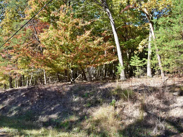 0 Lake Forest Dr, Spring City, TN 37381