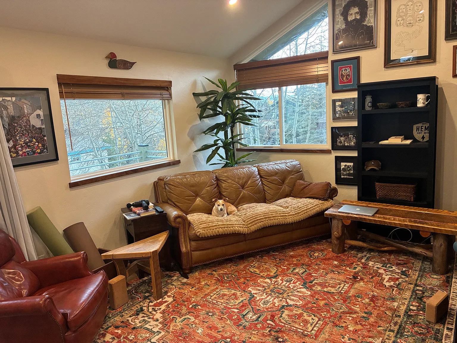 3 bed, 1630 sqft, $5,200 — Photo 3