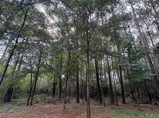 6060 Highway 13, Morton, MS 39117