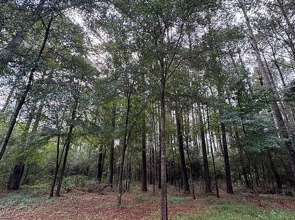 6060 Highway 13, Morton, MS 39117