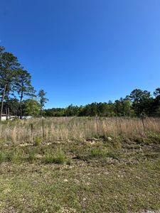 726 Spring Pond Rd, Bonneau, SC, 29431