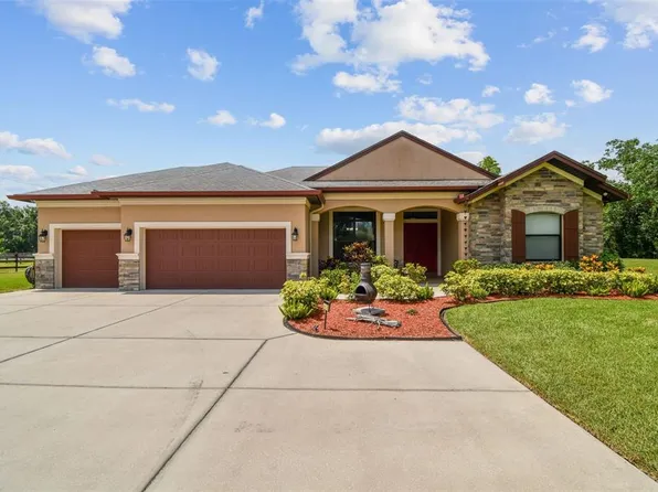 4608 Scott Rd, Lutz, FL 33558