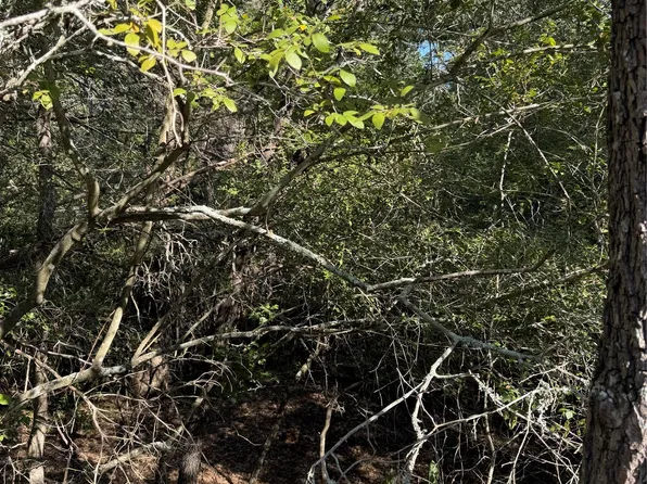 189 Kaelepulu Dr, Bastrop, TX 78602