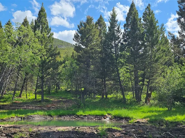 Hall Creek Ln, Helmville, MT 59843