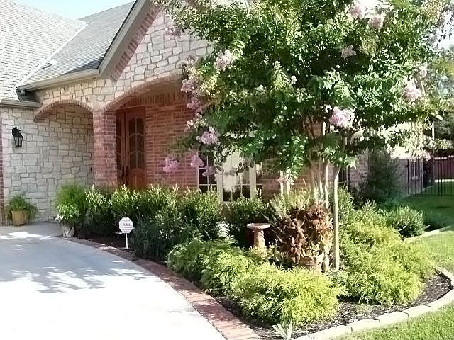 Front View