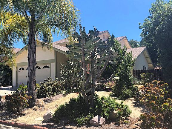 LOW MAINTENANCE LANDSCAPE