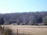 2nd image of 68 Dalton Rd