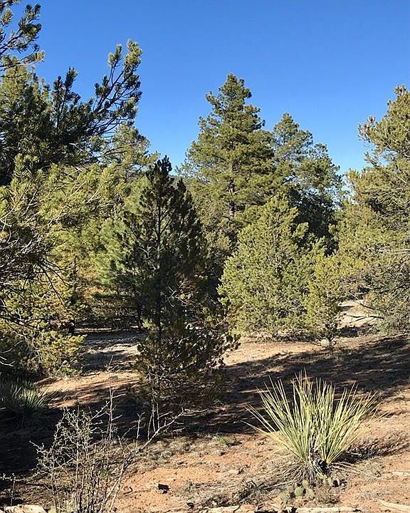 1st image of L14 Texas Creek Ln