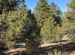 L14 Texas Creek Ln, Cotopaxi, CO 81223