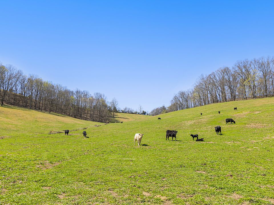 7th image of this home