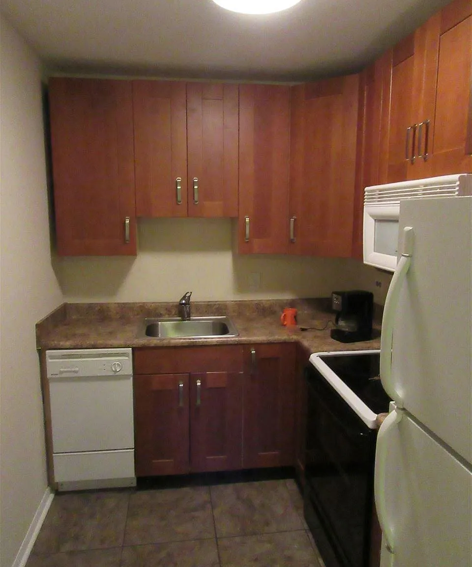 3 bed, 1.0 bath, 970 sqft, $3,000 — Photo 3