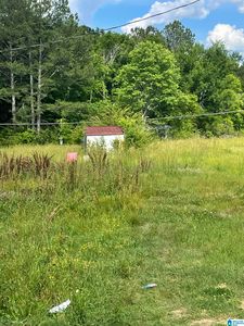 1766 & 1764 Nisbet Lake Rd #1, Jacksonville, AL, 36265