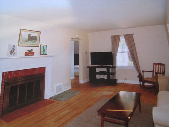 Wood burning fireplace