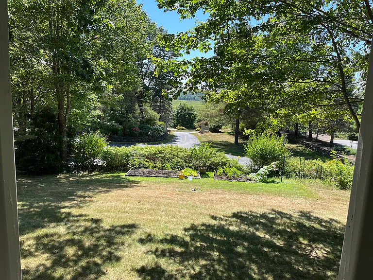 View from the outdoor cabin!