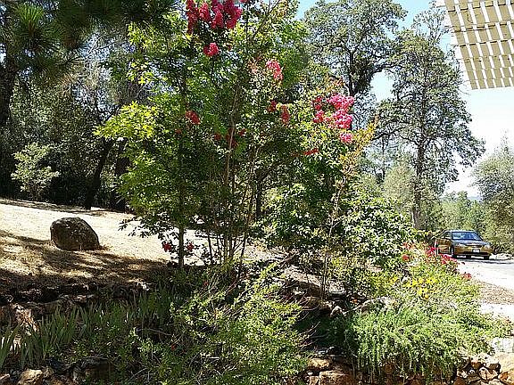 5th image of 10319 Red Ln