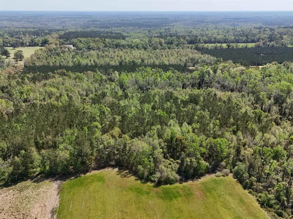 Vacant Attatulga Rd, Lamont, FL 32336