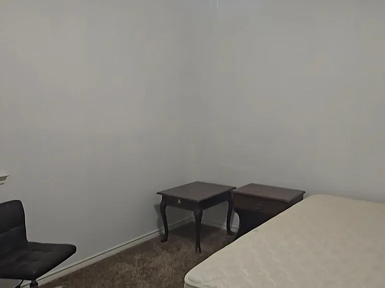 2157 Olivereta Dr — Photo 24