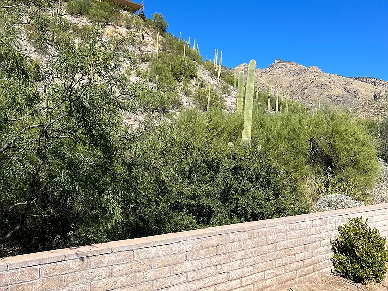 6860 N McFall Crags Pl — Photo 5