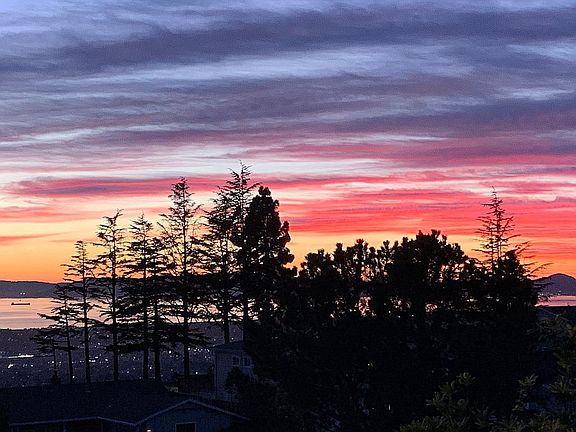 View from backyard deck